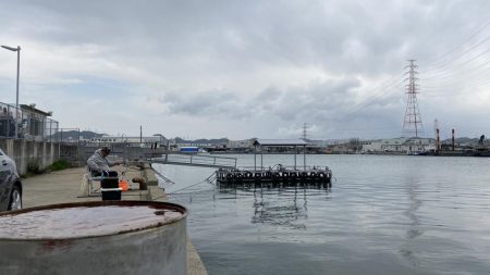 アジ　夕まずめ前