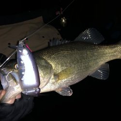 久しぶりの、バッスン