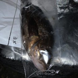 爆風釣行は凹む