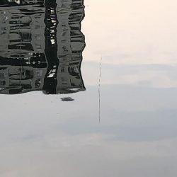 フカセ釣りあれこれ試してみたけれど