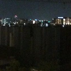 淀川のブラックバス