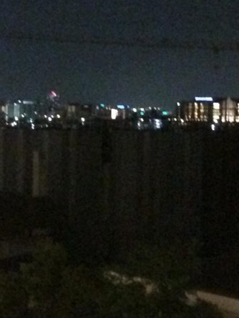 淀川のブラックバス