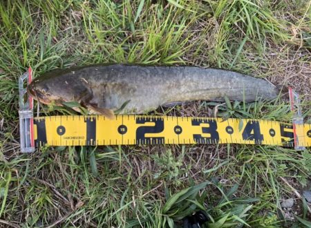 流れ込みは重要