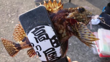 デイゲーム！！