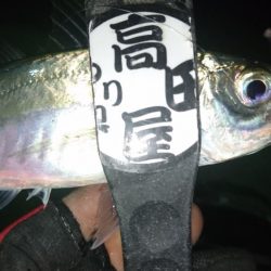 感染防止のため間を広く取って釣りしましょう