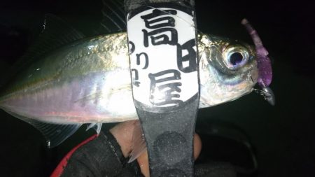 感染防止のため間を広く取って釣りしましょう…