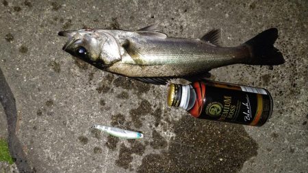 ナイトルアーフィッシング