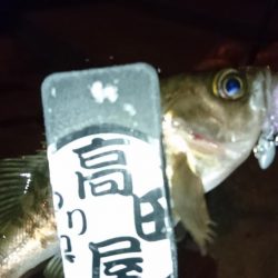 防寒着は忘れずに！！