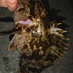 干潮の浅瀬にて