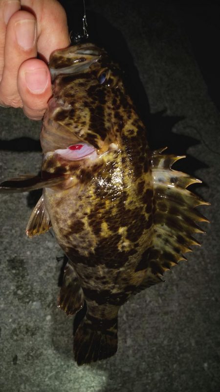 干潮の浅瀬にて