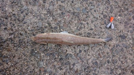 ショアジギング