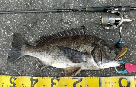 短時間デイゲーム夕練調査！