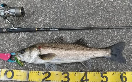 日没迄の短時間夕練！