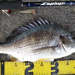 ぶら河川調査！！