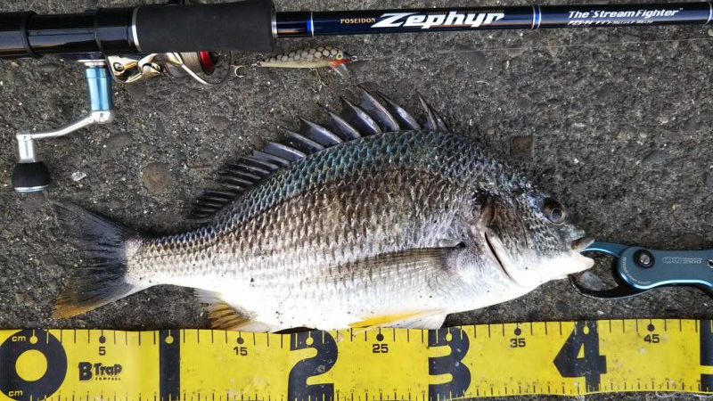 ぶら河川調査！！