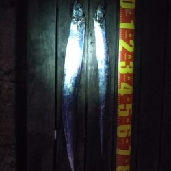 風があるも家族連れでにぎわい