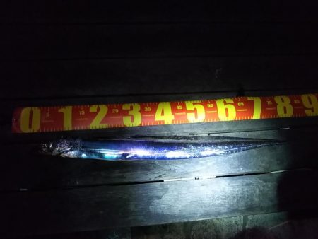 渋いが……なんとか