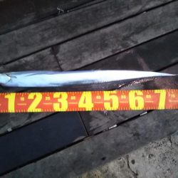 雨上がりの土曜日