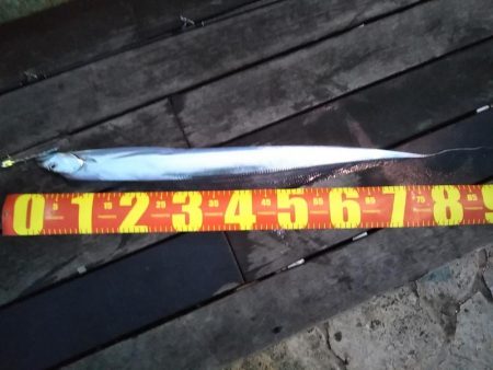 雨上がりの土曜日