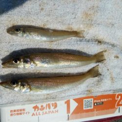 釣友が東二見に集まりました