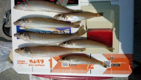 風が無く最高の釣り日和でした