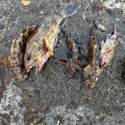 穴釣り投げ釣り