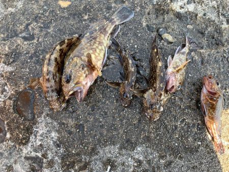 穴釣り投げ釣り