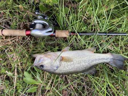 35センチ坊主逃れ