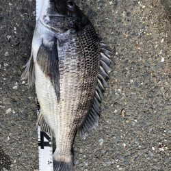 イチノ兄弟、釣果！