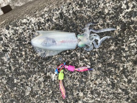 今季、初ヤエン