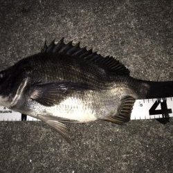 イチノ兄弟、釣果！