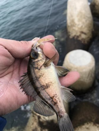 でいめばあじんぐ