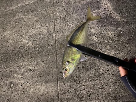 ちょい渋めのアジング