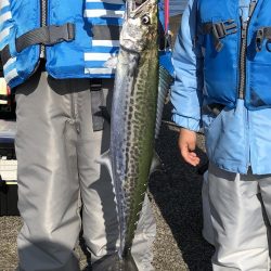 春のサゴシ祭り