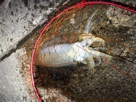 GW前にして今年度釣り納め