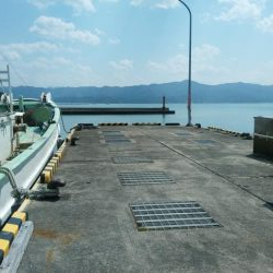 桜メインで釣行