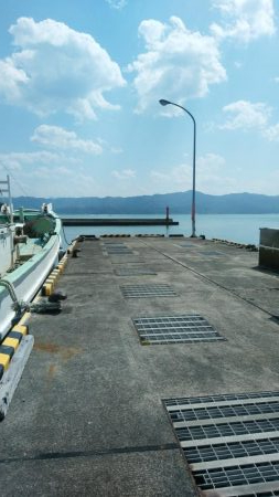 桜メインで釣行