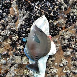 フカセが一番・・面白いです・・釣れない四月・・