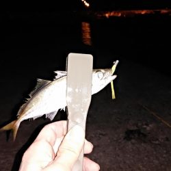 雨後の海洋調査