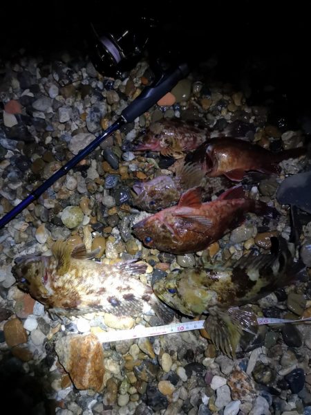 味噌汁リベンジ