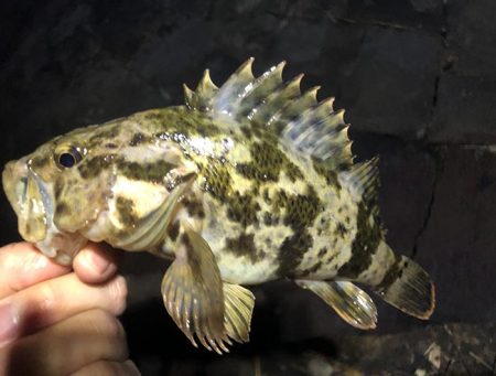 春のタケノコがり