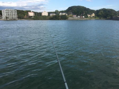 コサバ少々、ヒイラギ少々