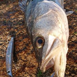 ストレス解消！