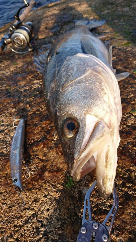 ストレス解消！