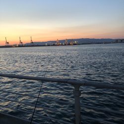 初のシーサイドコスモにてアナゴ