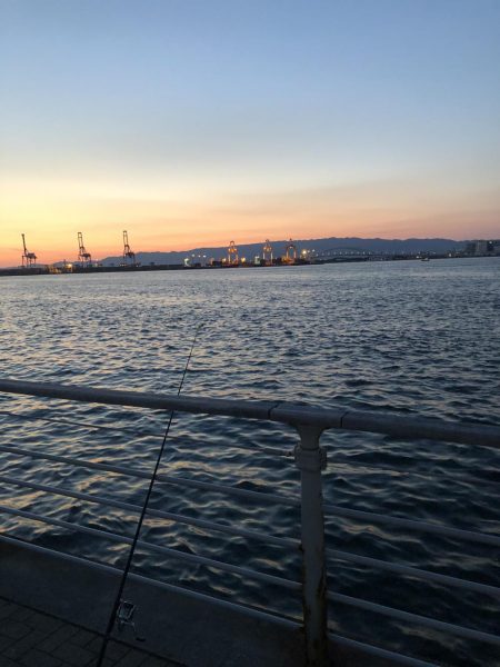 初のシーサイドコスモにてアナゴ