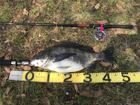 1週間ぶりの釣行でゲット