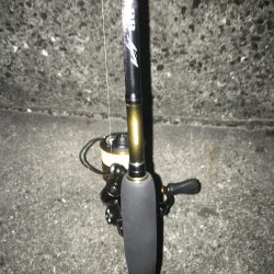 千田漁港が熱い