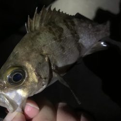 期待すべく時間に地合い