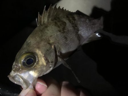 期待すべく時間に地合い